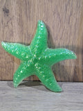 Mini Starfish