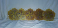 5pc Yellow/Golden Flower Shape Coaster Set