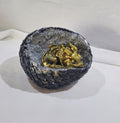 Baby Dragon Laying in Egg