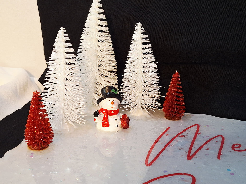 Mr. and Mrs. Claus Dancing Christmas Tray Display